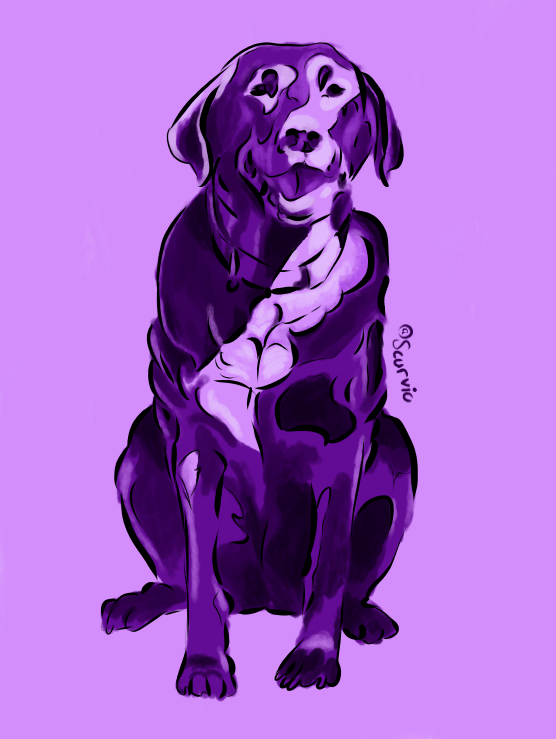 A simple purple monochrome animation of a dog looking at the camera